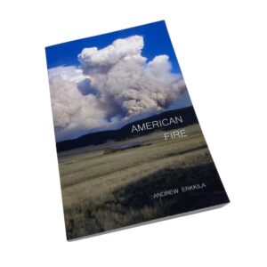 American Fire Novel